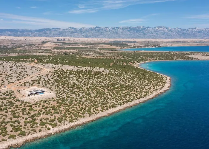 Unique Zaglava Kosljun